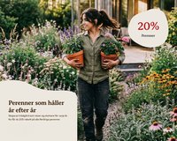 Blomsterlandet reklamblad