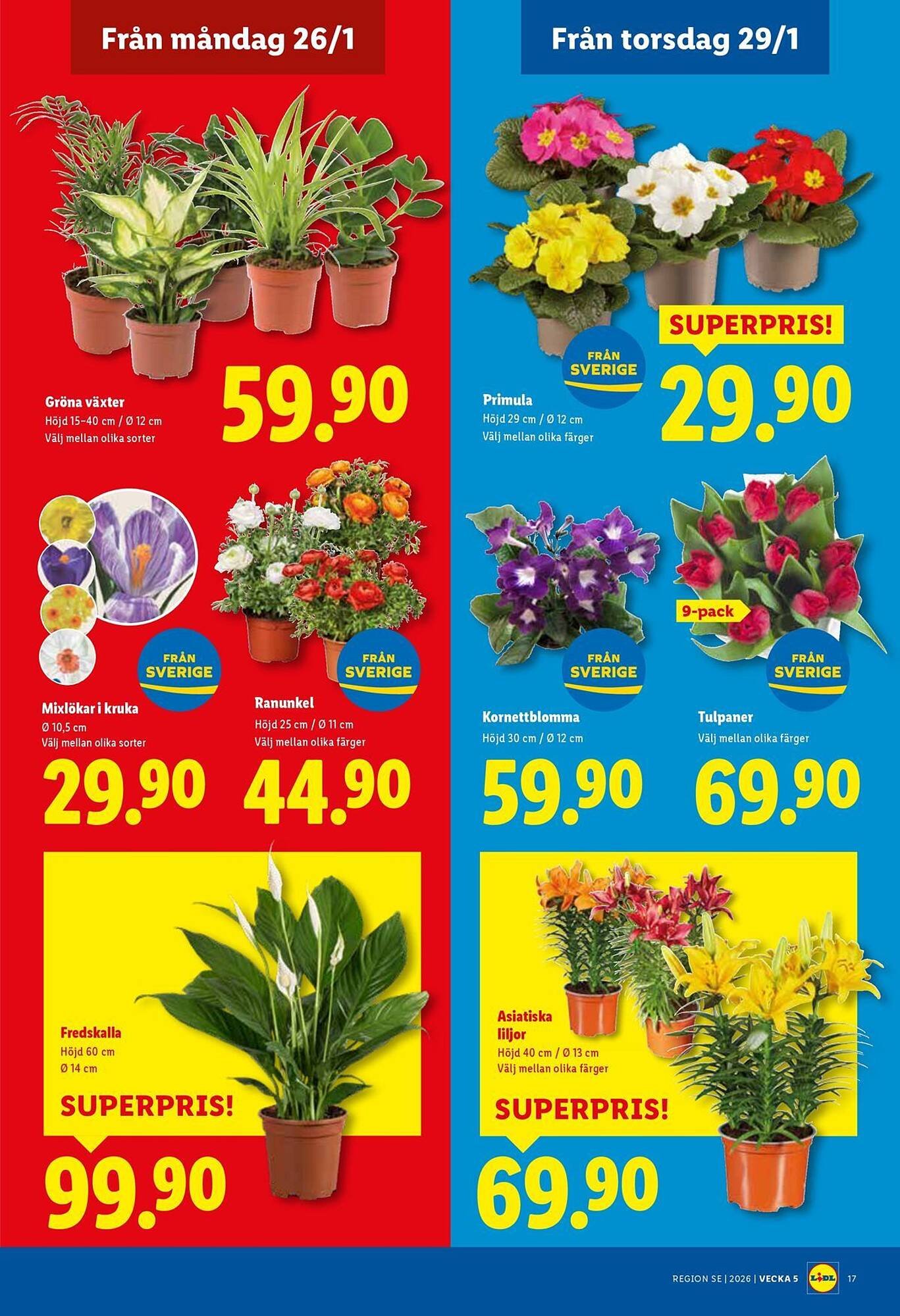 Lidl reklamblad (2026-01-26 - 2026-02-01)