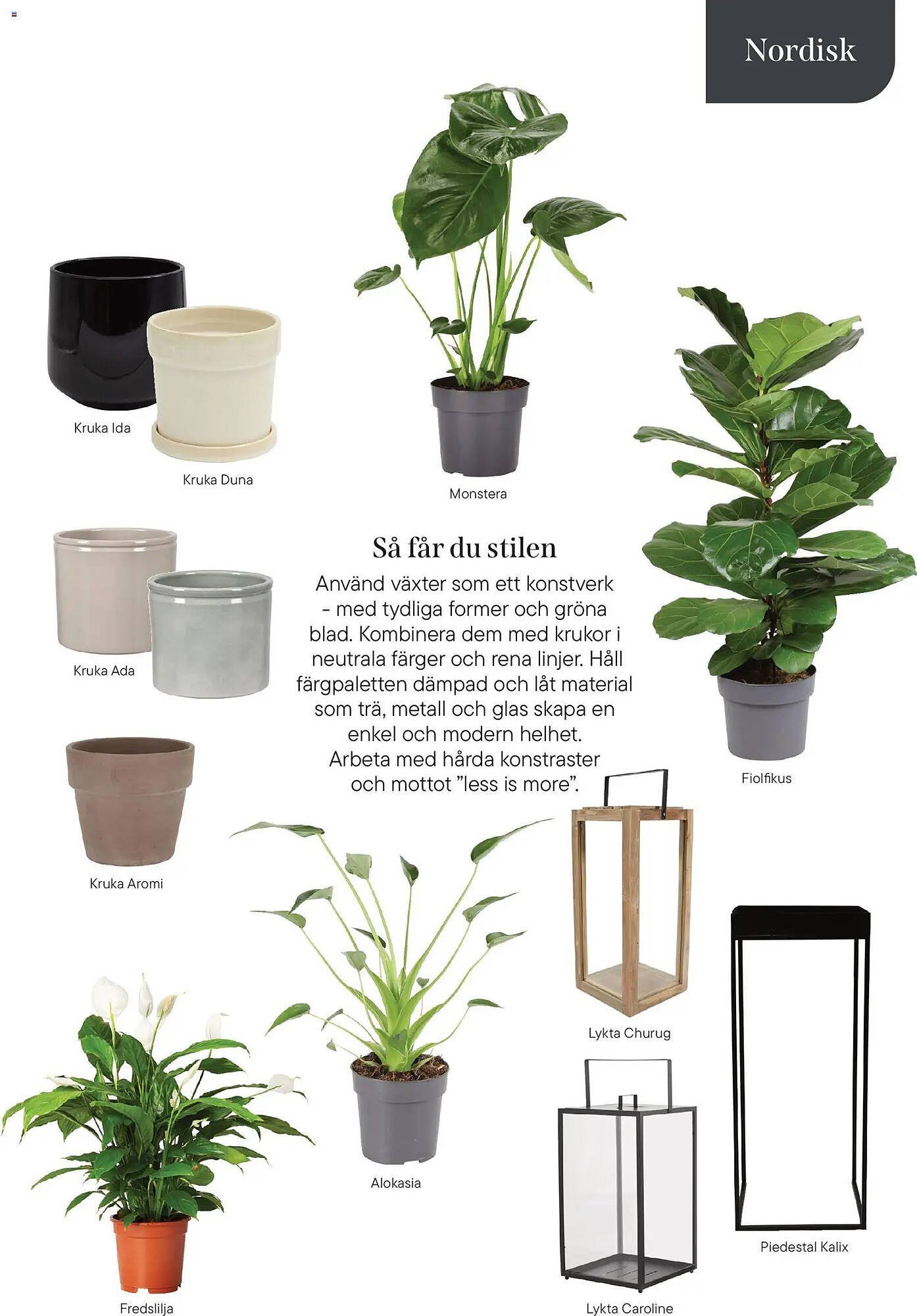 Plantagen annonsblad (2026-01-13 - 2026-06-30)