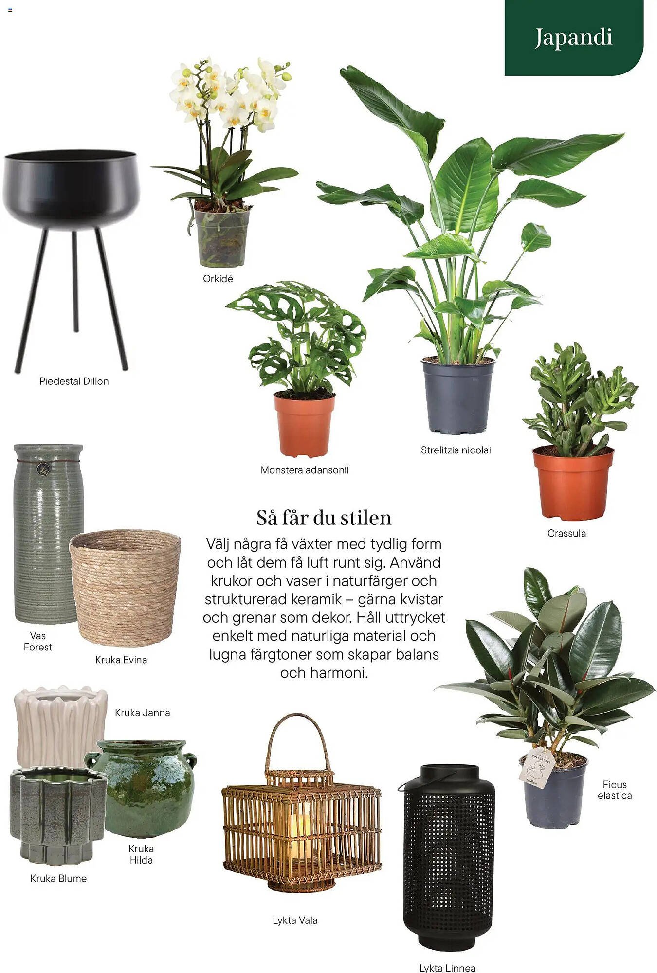 Plantagen annonsblad (2026-01-13 - 2026-06-30)