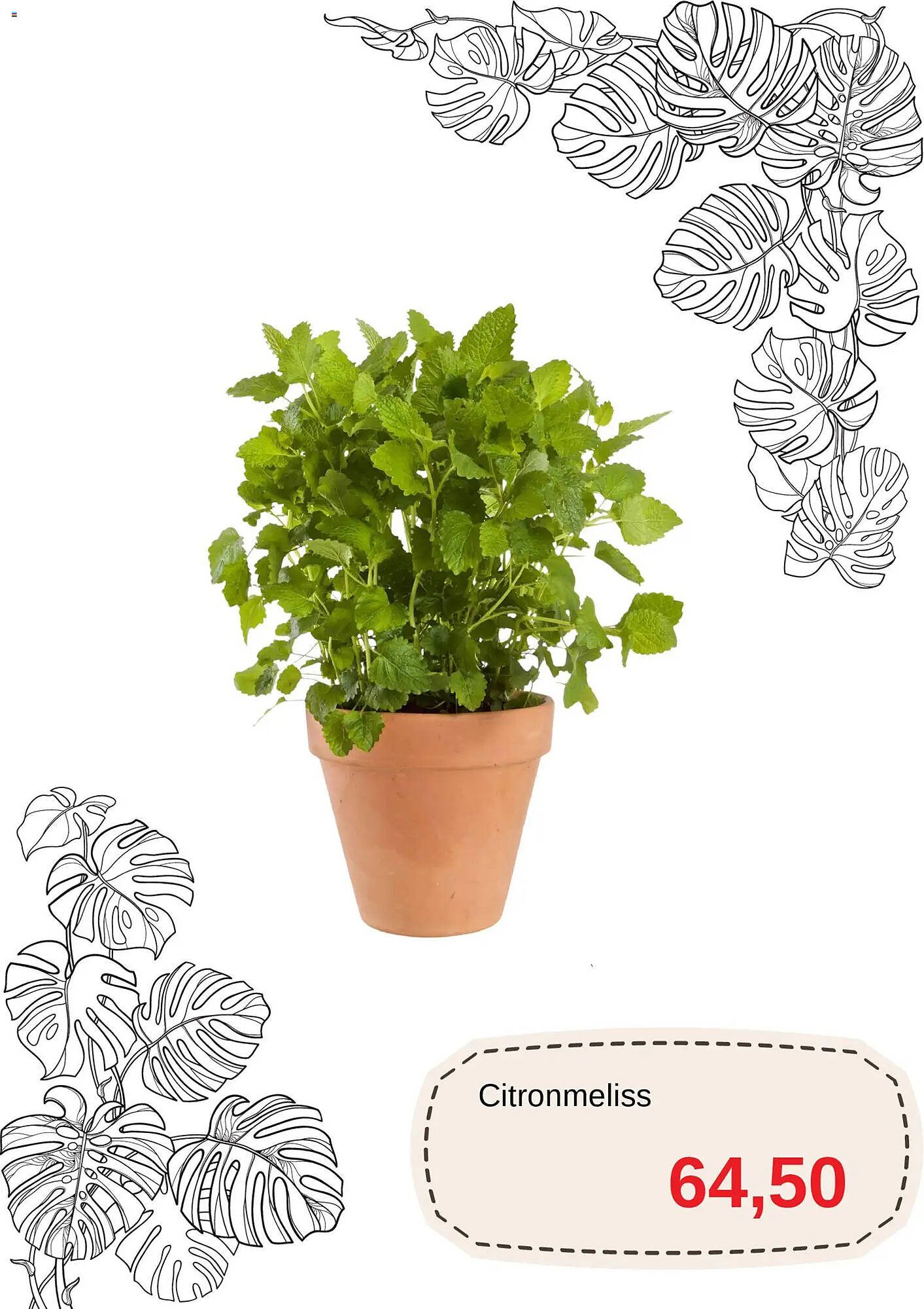 Blomsterlandet reklamblad (2026-04-20 - 2026-05-31)