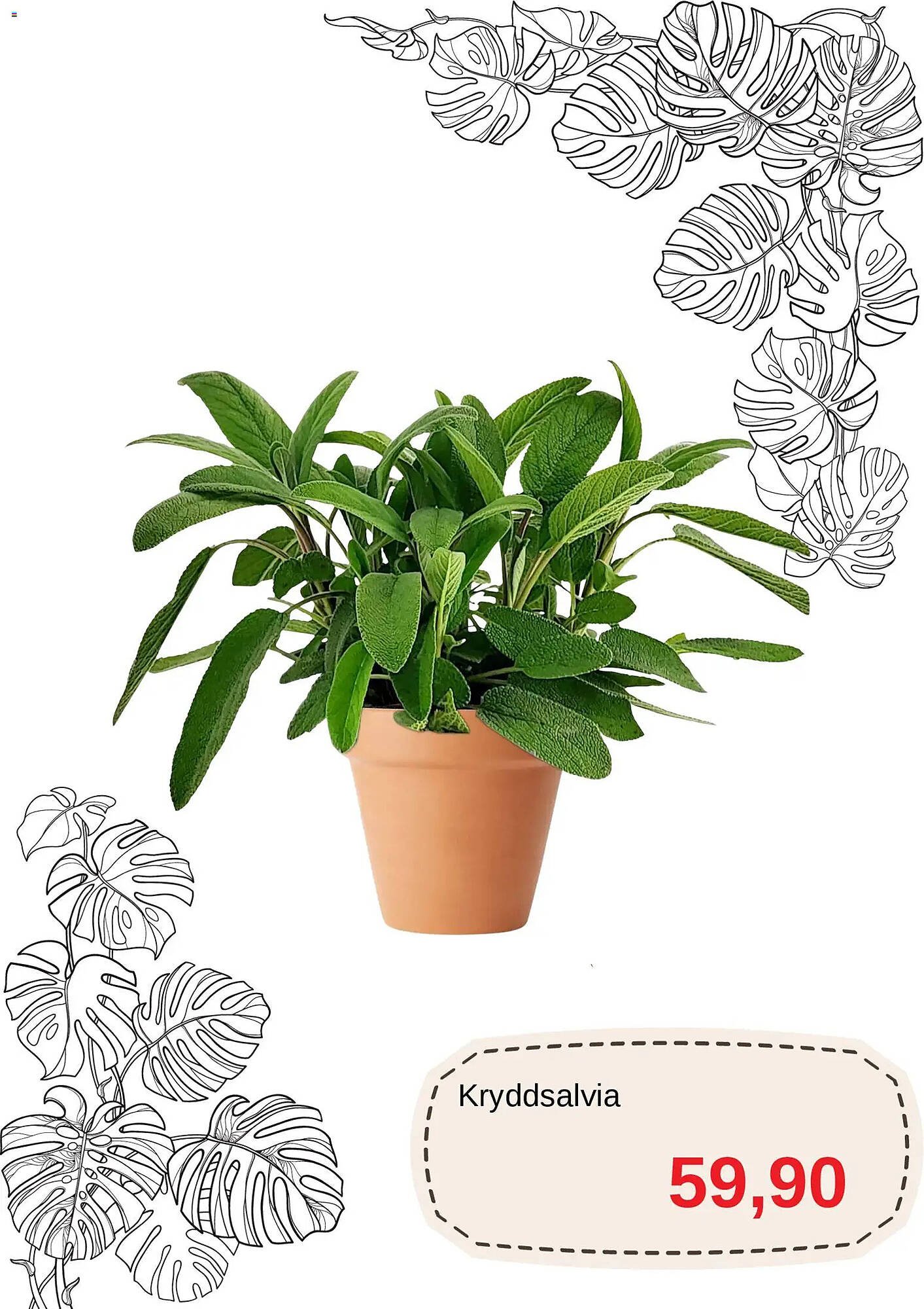 Blomsterlandet reklamblad (2026-04-20 - 2026-05-31)