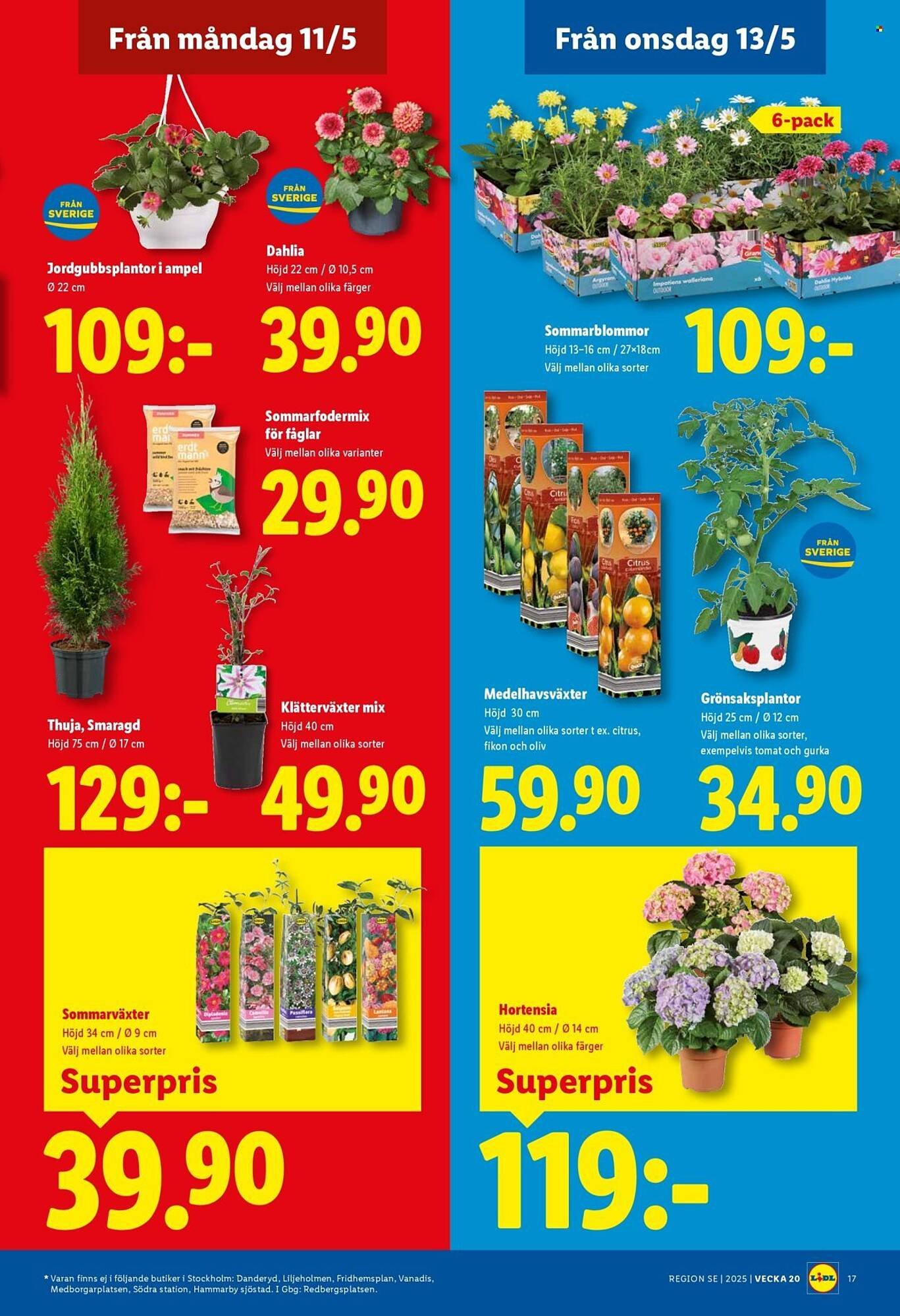 Lidl reklamblad