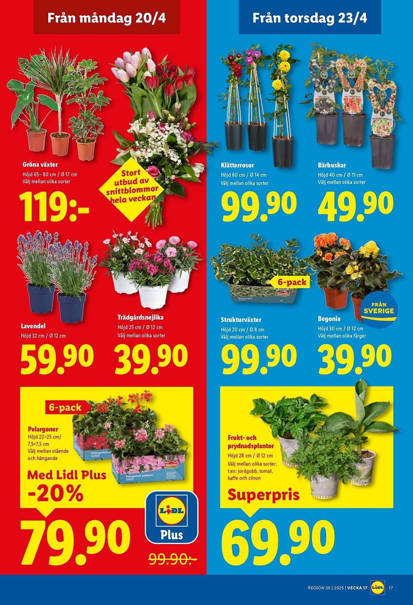 Lidl reklamblad