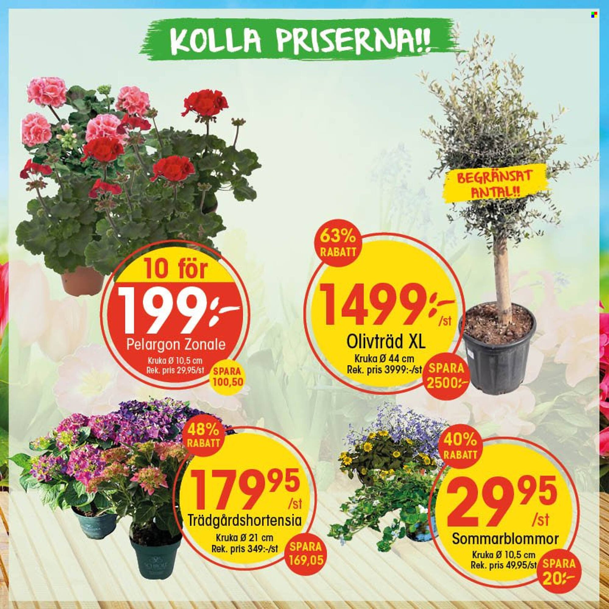 EKO reklamblad