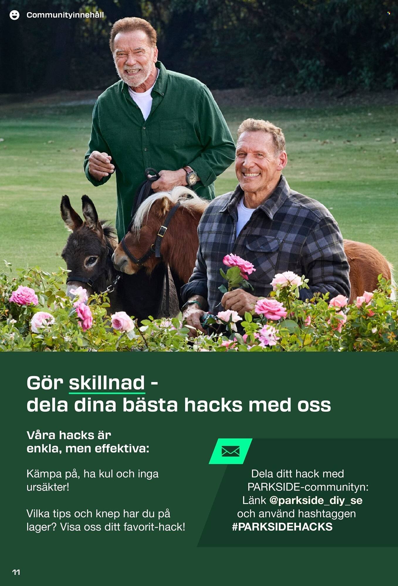 Lidl reklamblad (2025-08-31 - 2025-09-08)