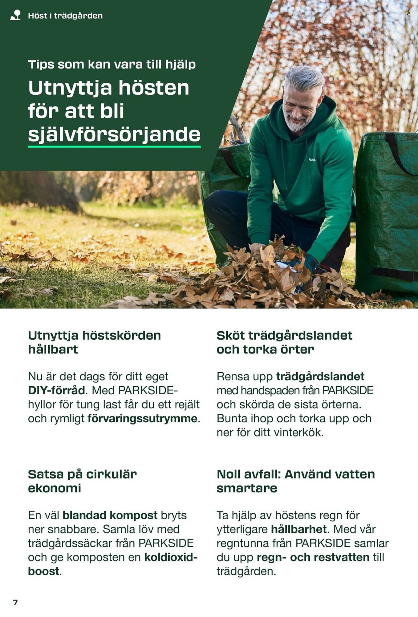 Lidl reklamblad (2025-08-31 - 2025-09-08)
