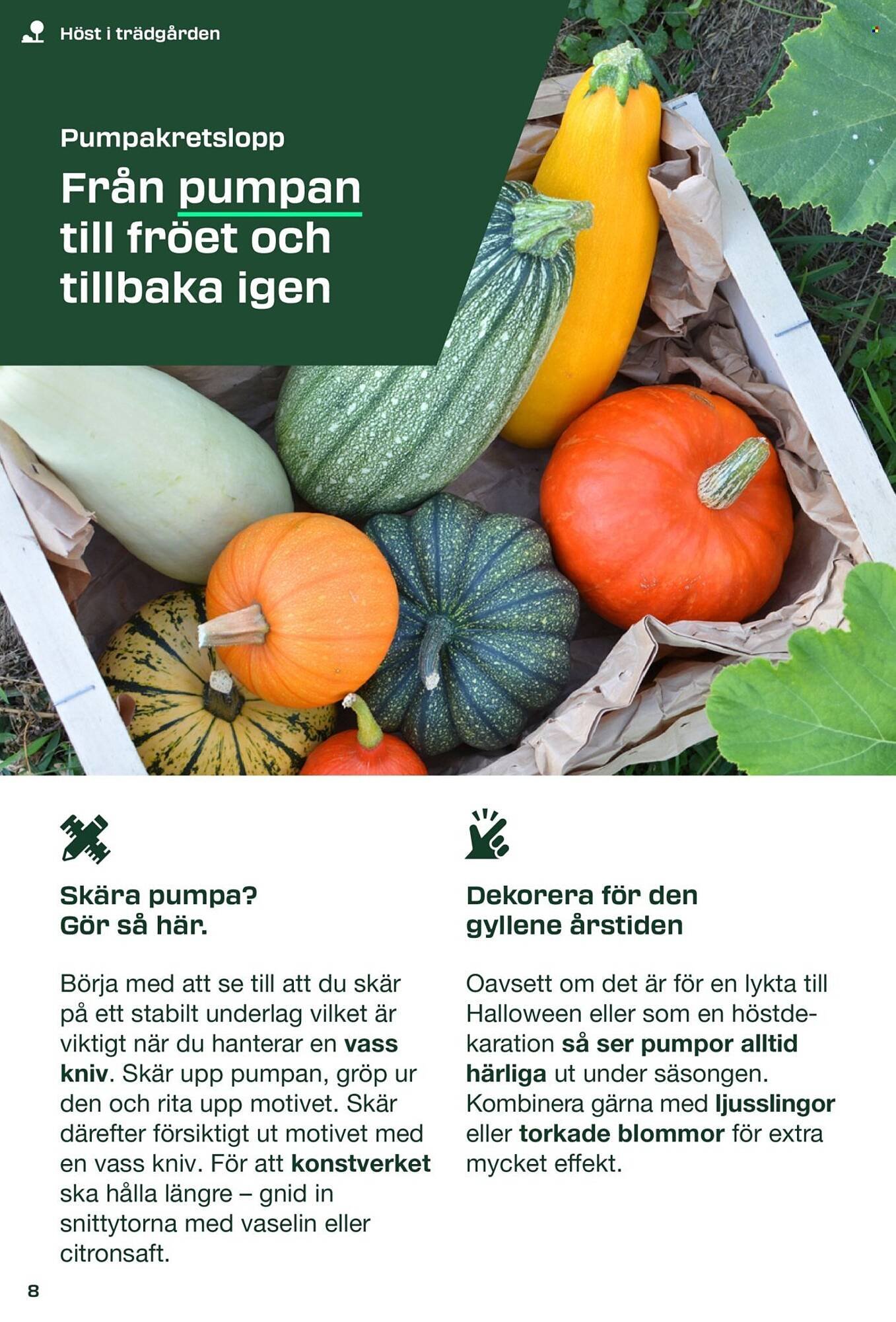 Lidl reklamblad (2025-08-31 - 2025-09-08)