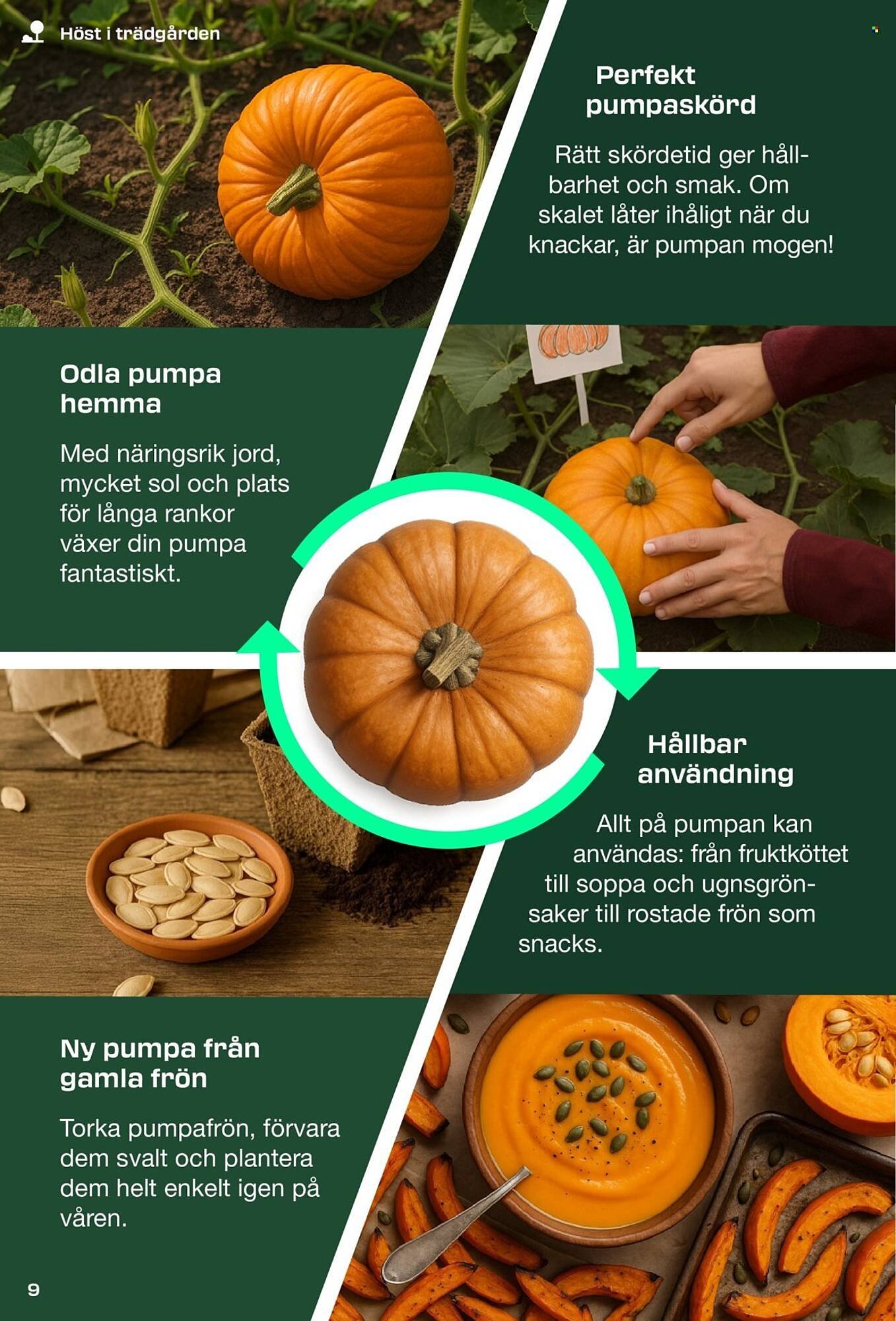 Lidl reklamblad (2025-08-31 - 2025-09-08)