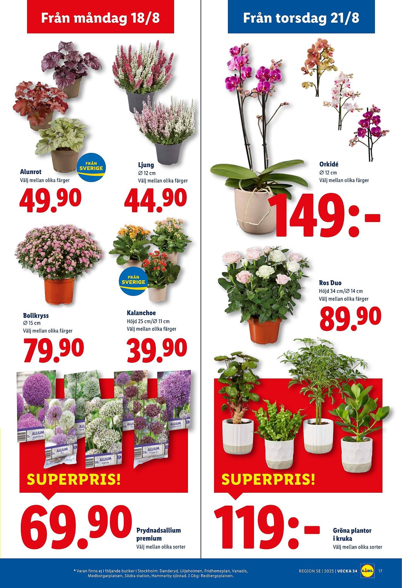 Lidl reklamblad (2025-08-18 - 2025-08-24)