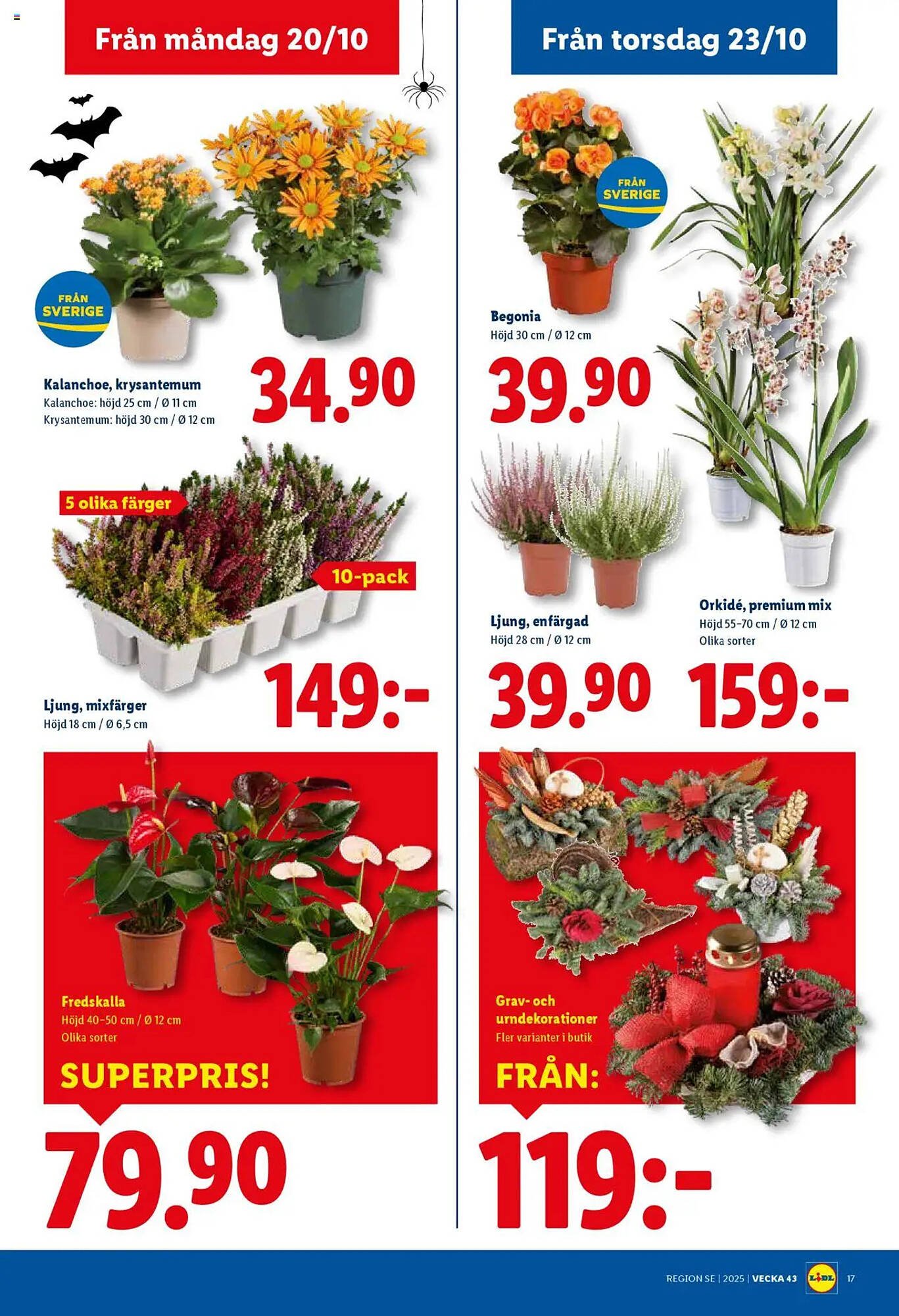 Lidl reklamblad (2025-10-20 - 2025-10-26)