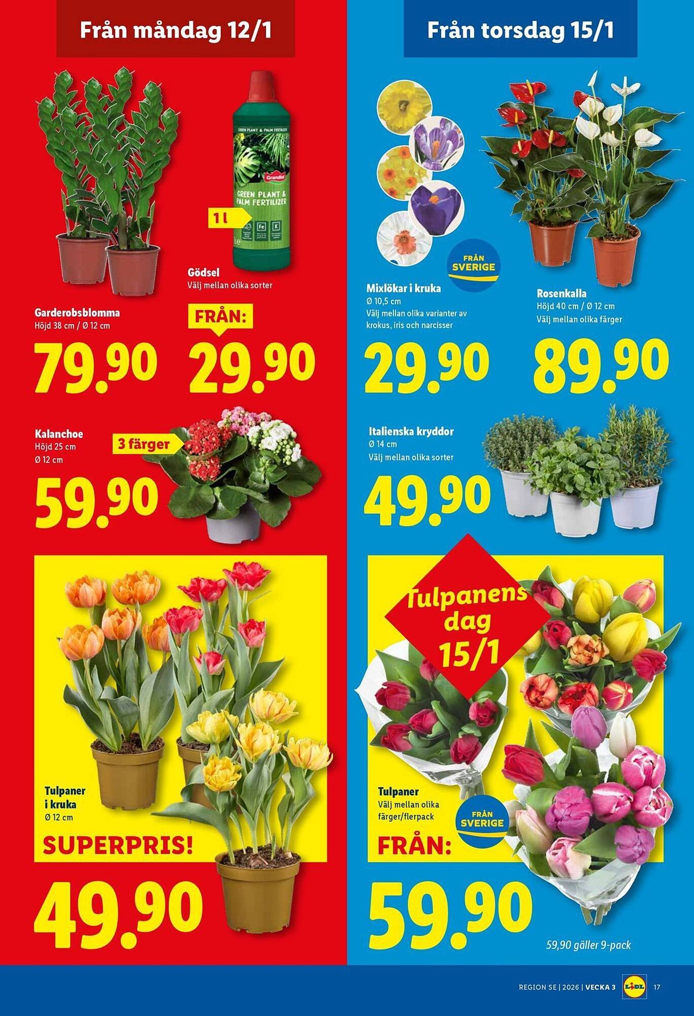 Lidl reklamblad (2026-01-12 - 2026-01-18)