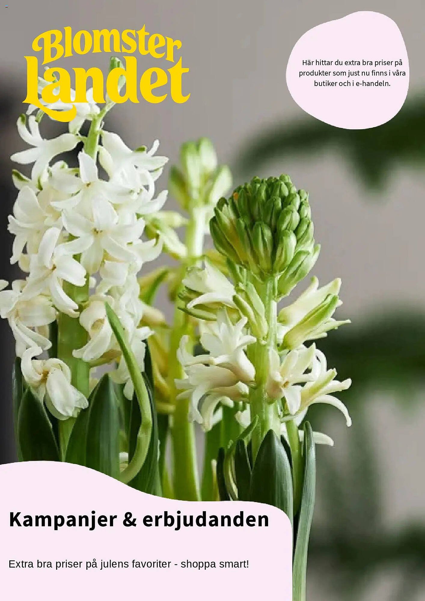 Blomsterlandet reklamblad (2025-12-01 - 2025-12-31)