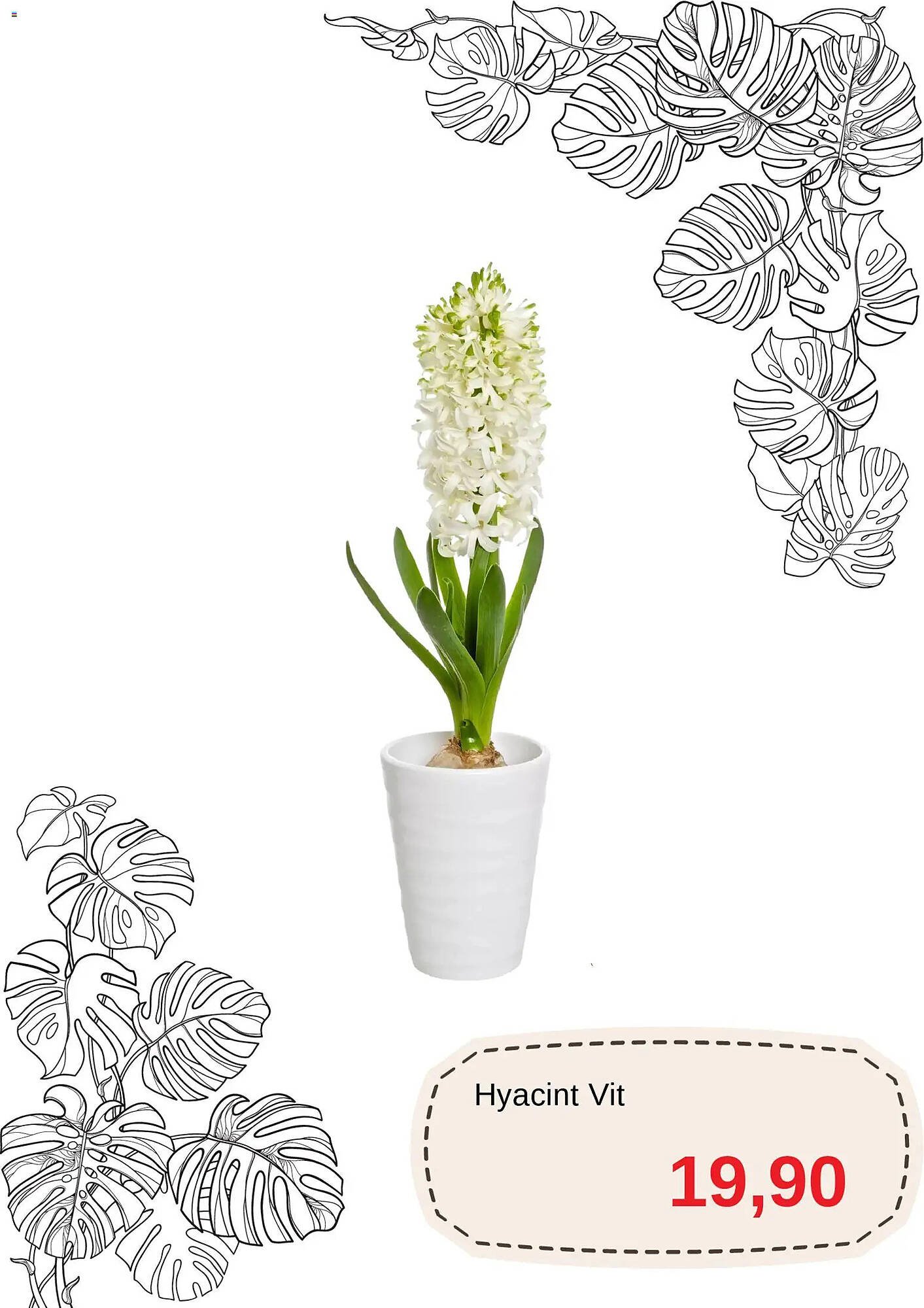 Blomsterlandet reklamblad (2025-12-01 - 2025-12-31)