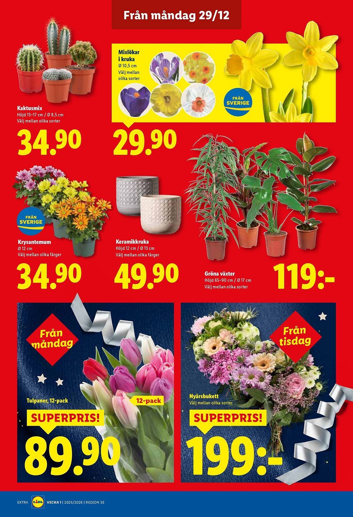Lidl reklamblad (2025-12-29 - 2026-01-04)