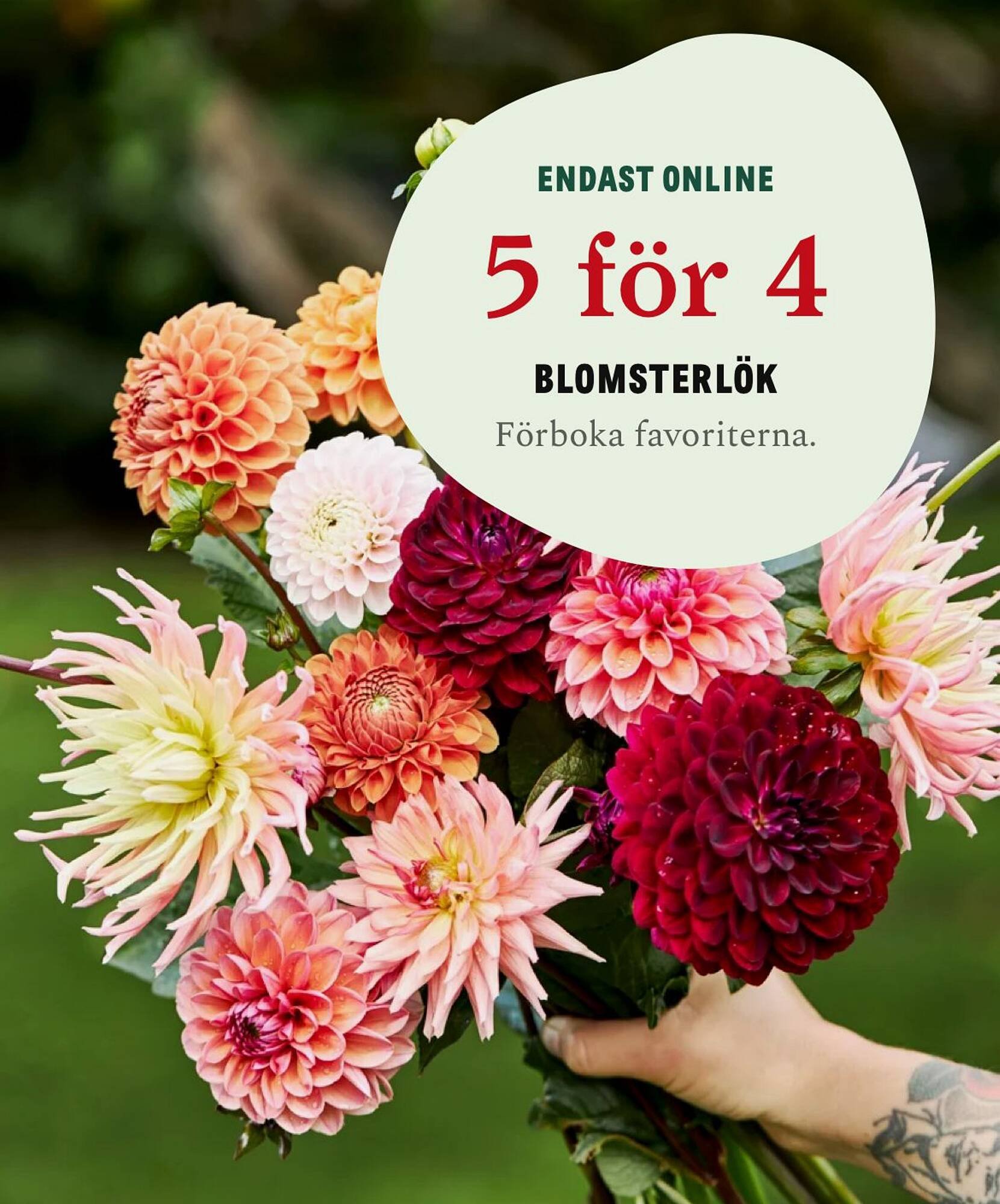 Blomsterlandet reklamblad (2026-01-01 - 2026-01-07)