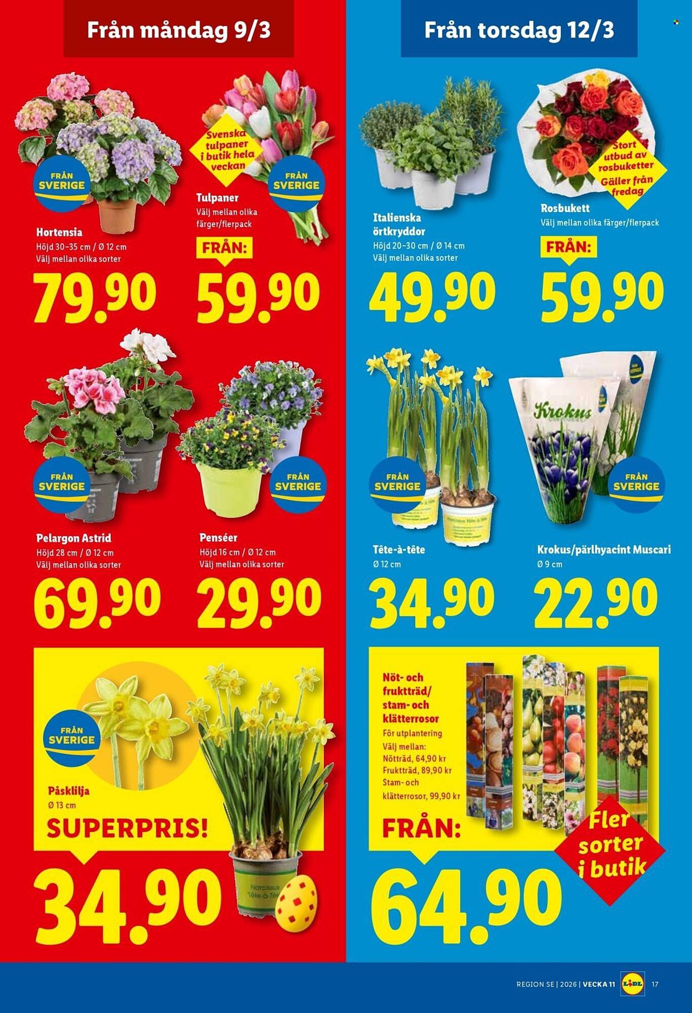 Lidl reklamblad