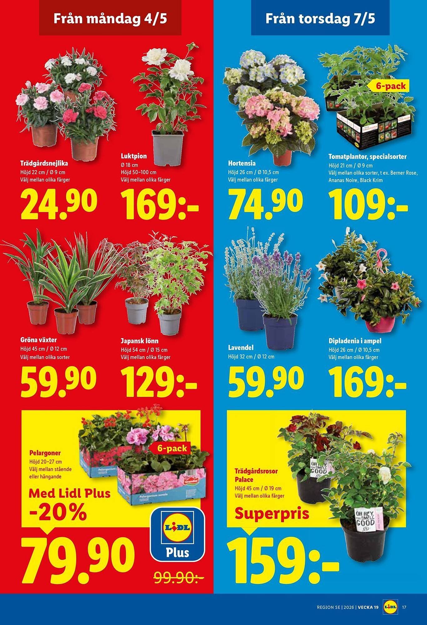 Lidl reklamblad