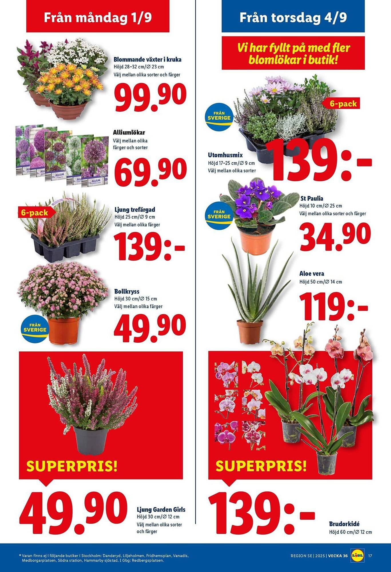 Lidl reklamblad (2025-09-01 - 2025-09-07)