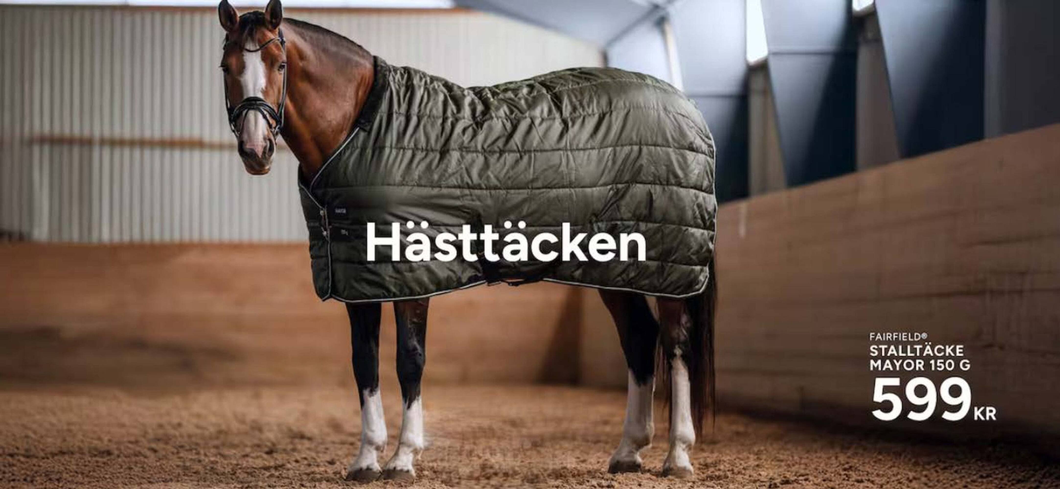 Hööks reklamblad (2025-10-28 - 2025-11-12)