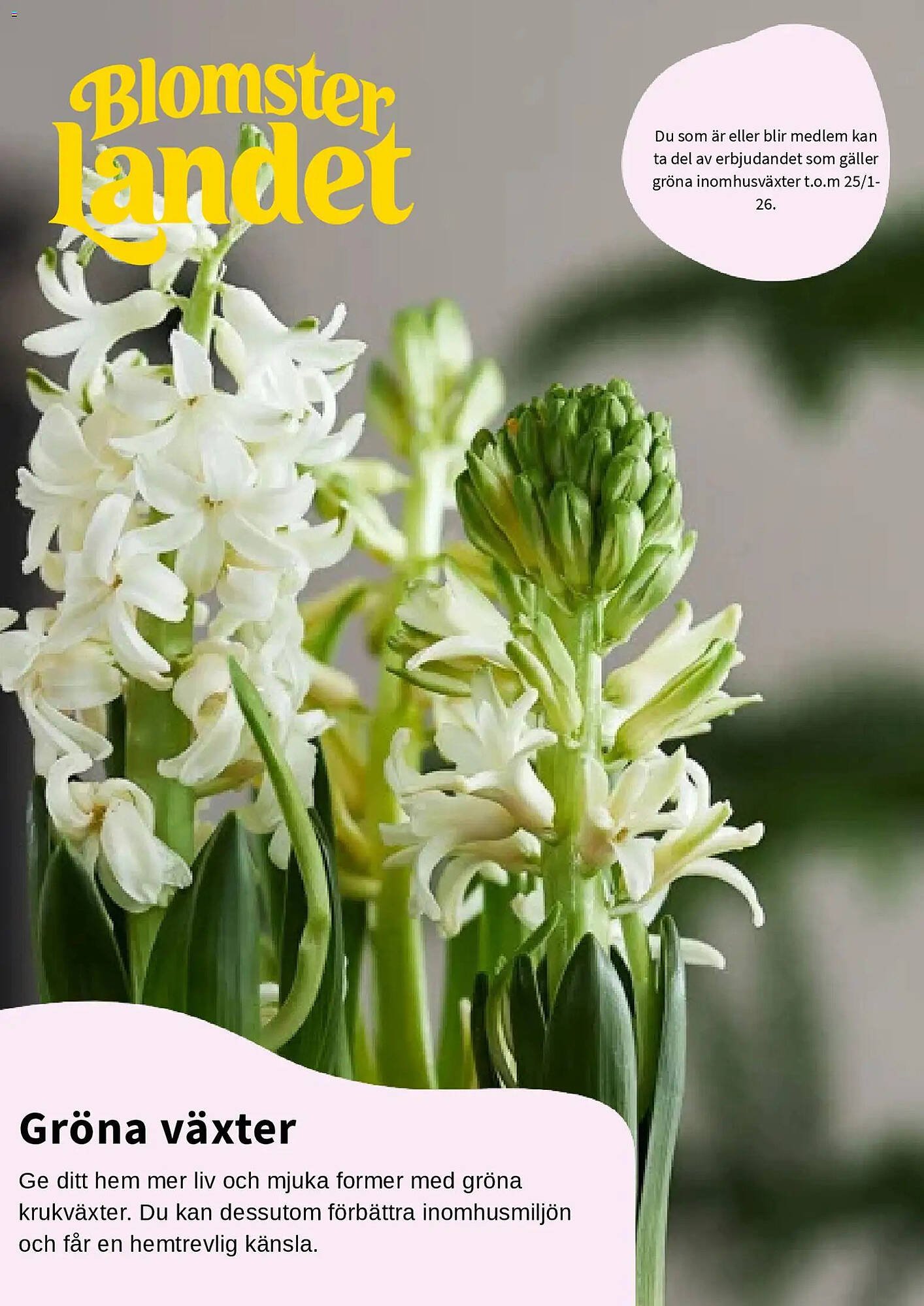 Blomsterlandet reklamblad (2026-01-15 - 2026-01-26)