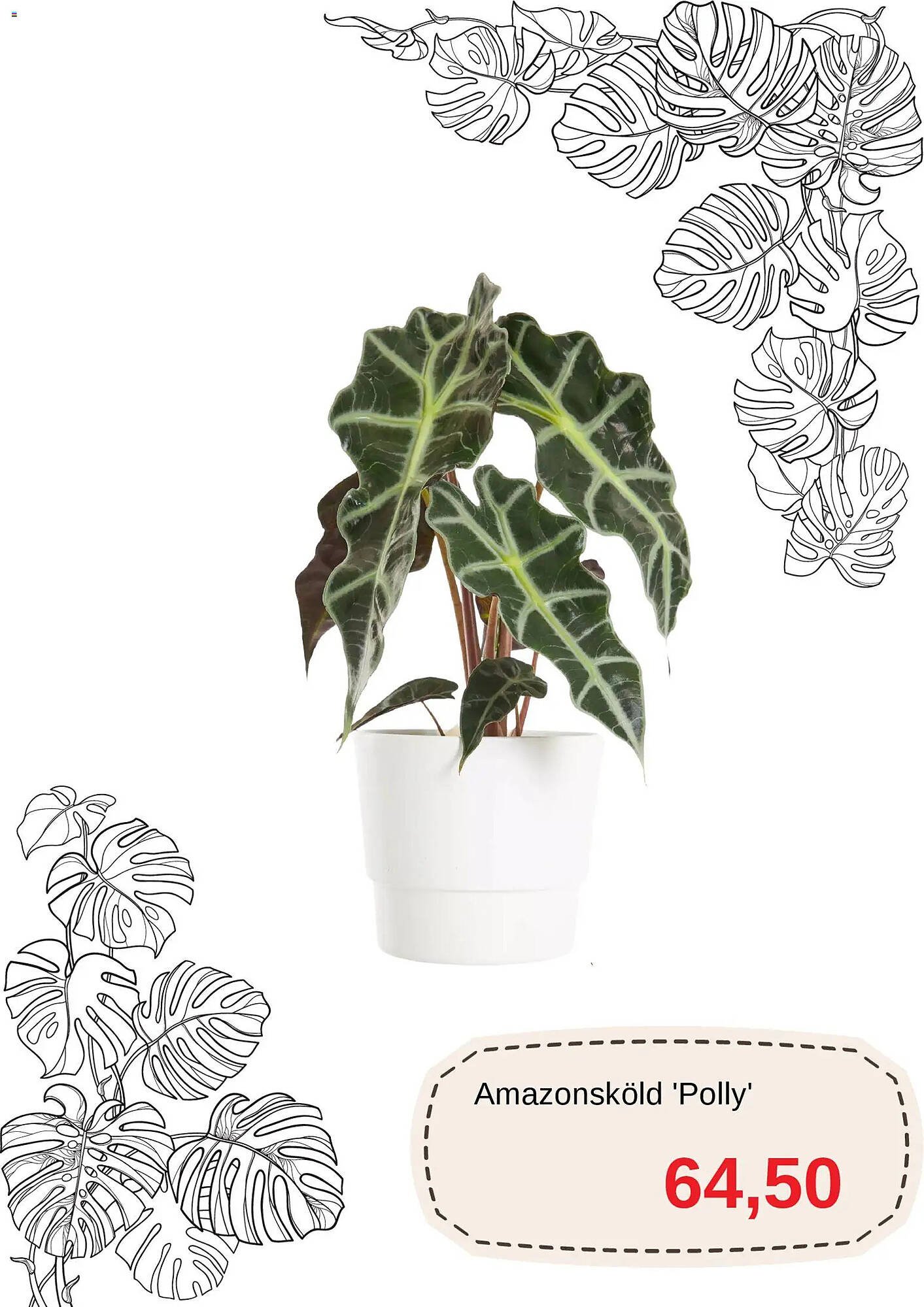 Blomsterlandet reklamblad (2026-01-15 - 2026-01-26)