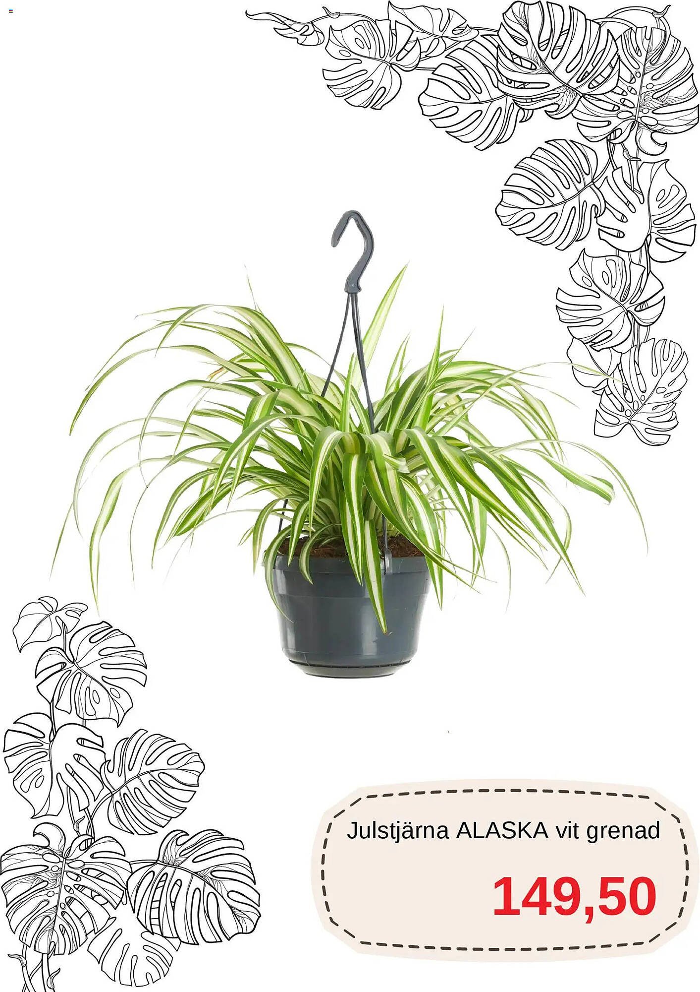 Blomsterlandet reklamblad (2026-01-15 - 2026-01-26)