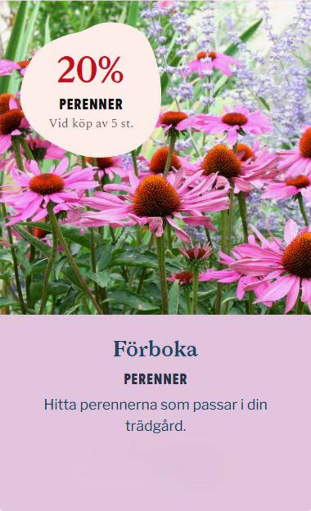 Blomsterlandet reklamblad