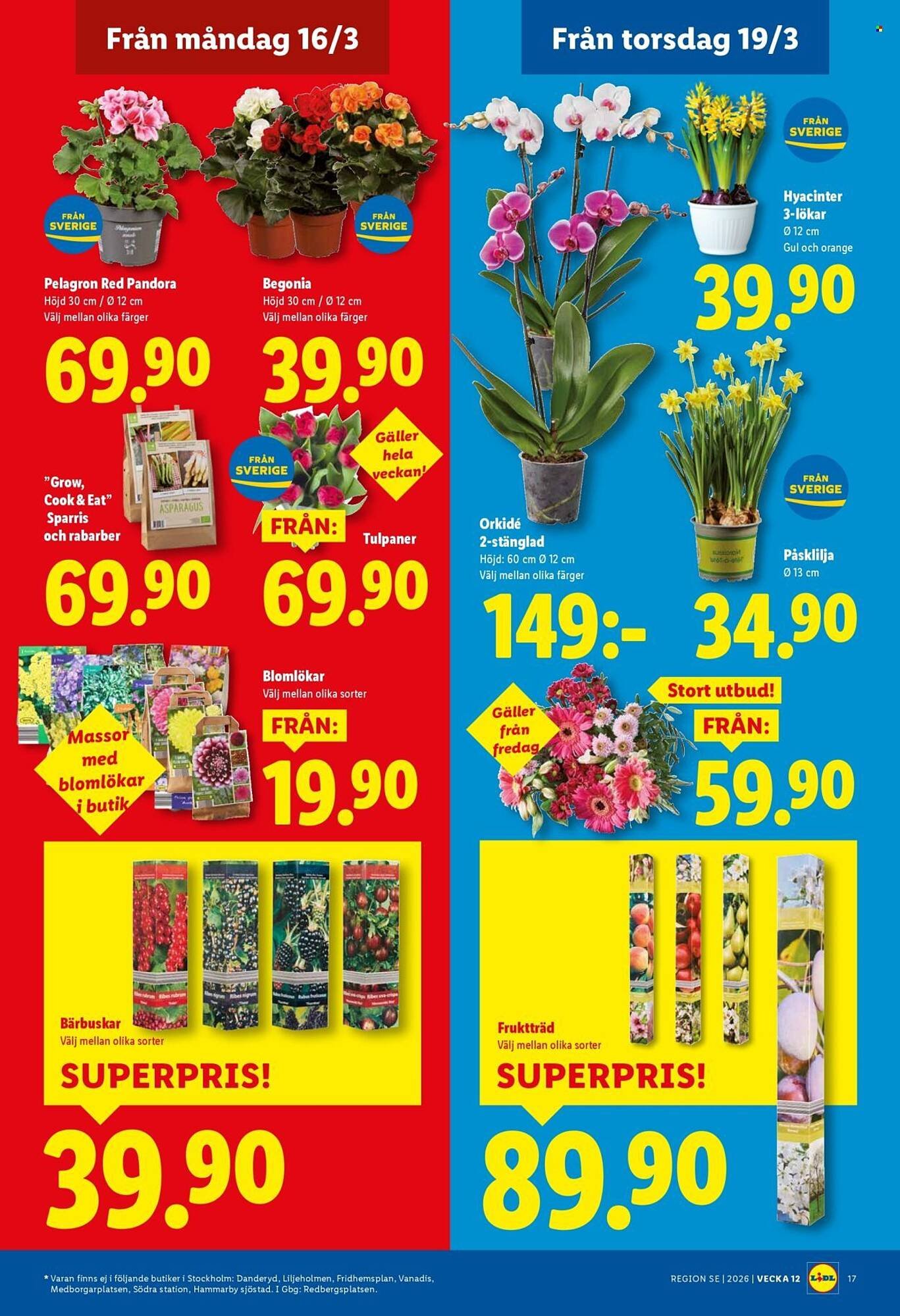 Lidl reklamblad