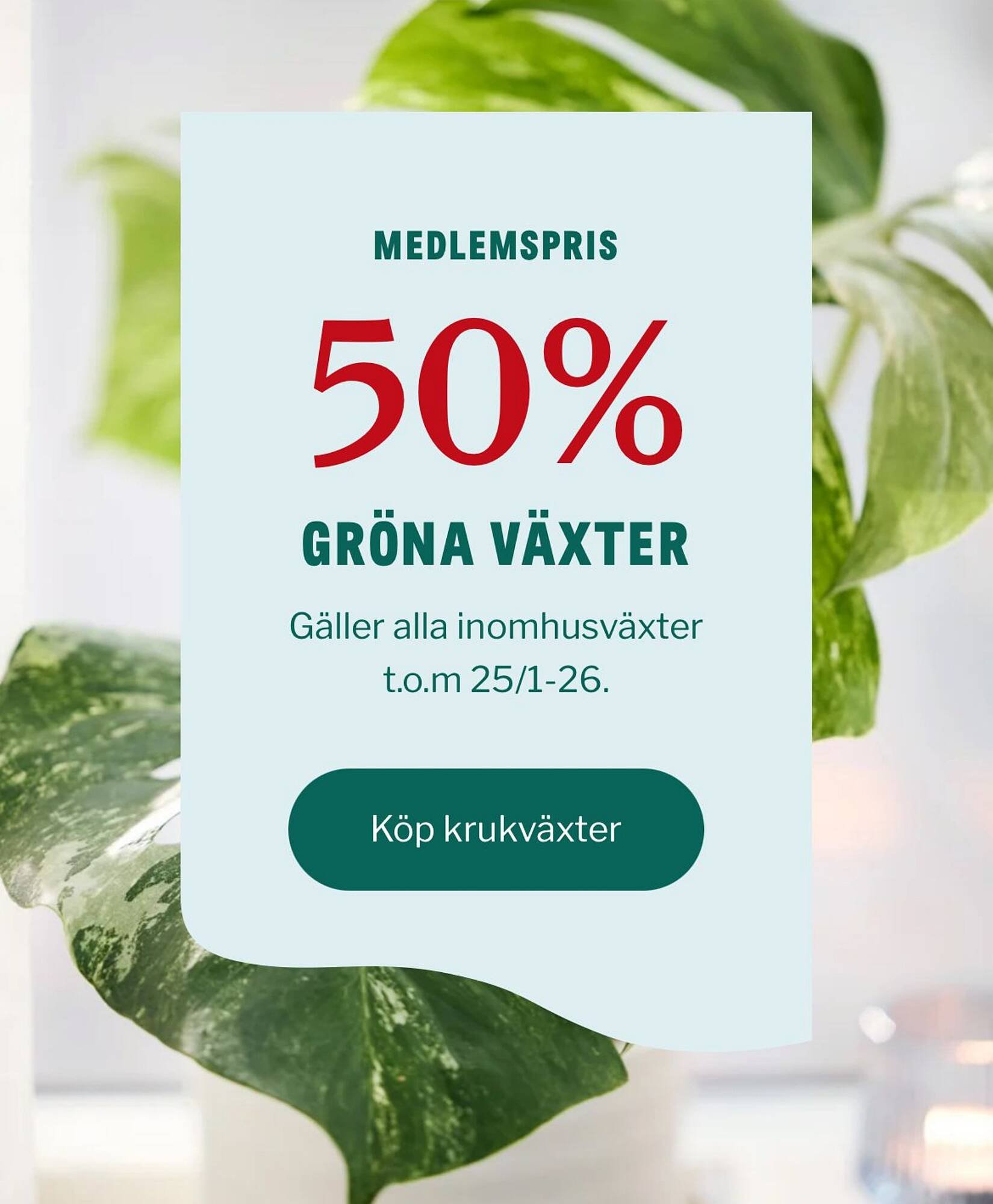 Blomsterlandet reklamblad