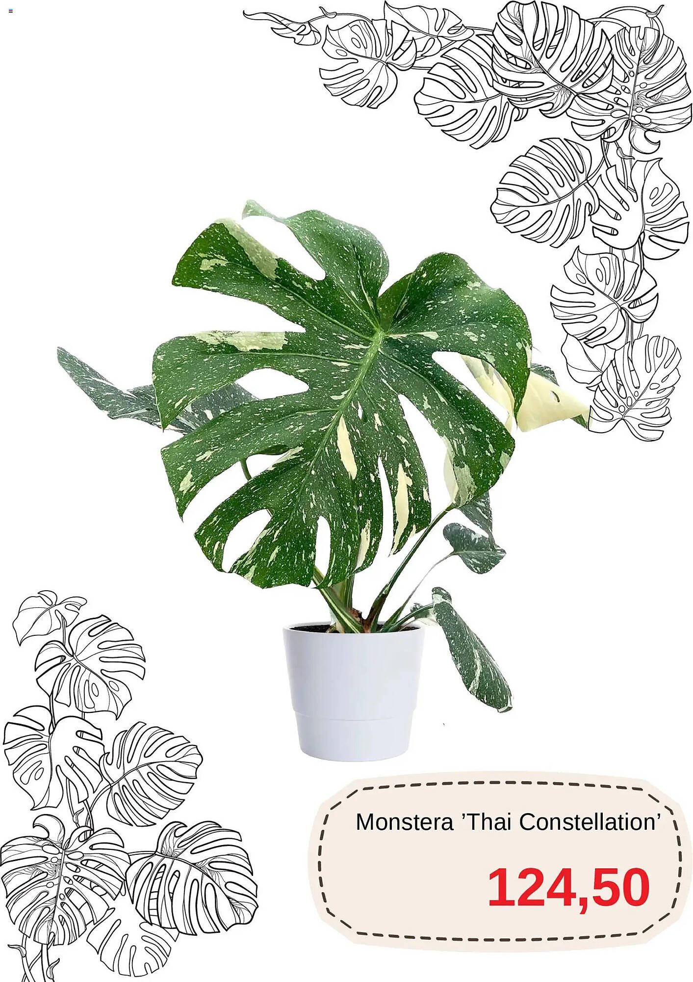 Blomsterlandet reklamblad