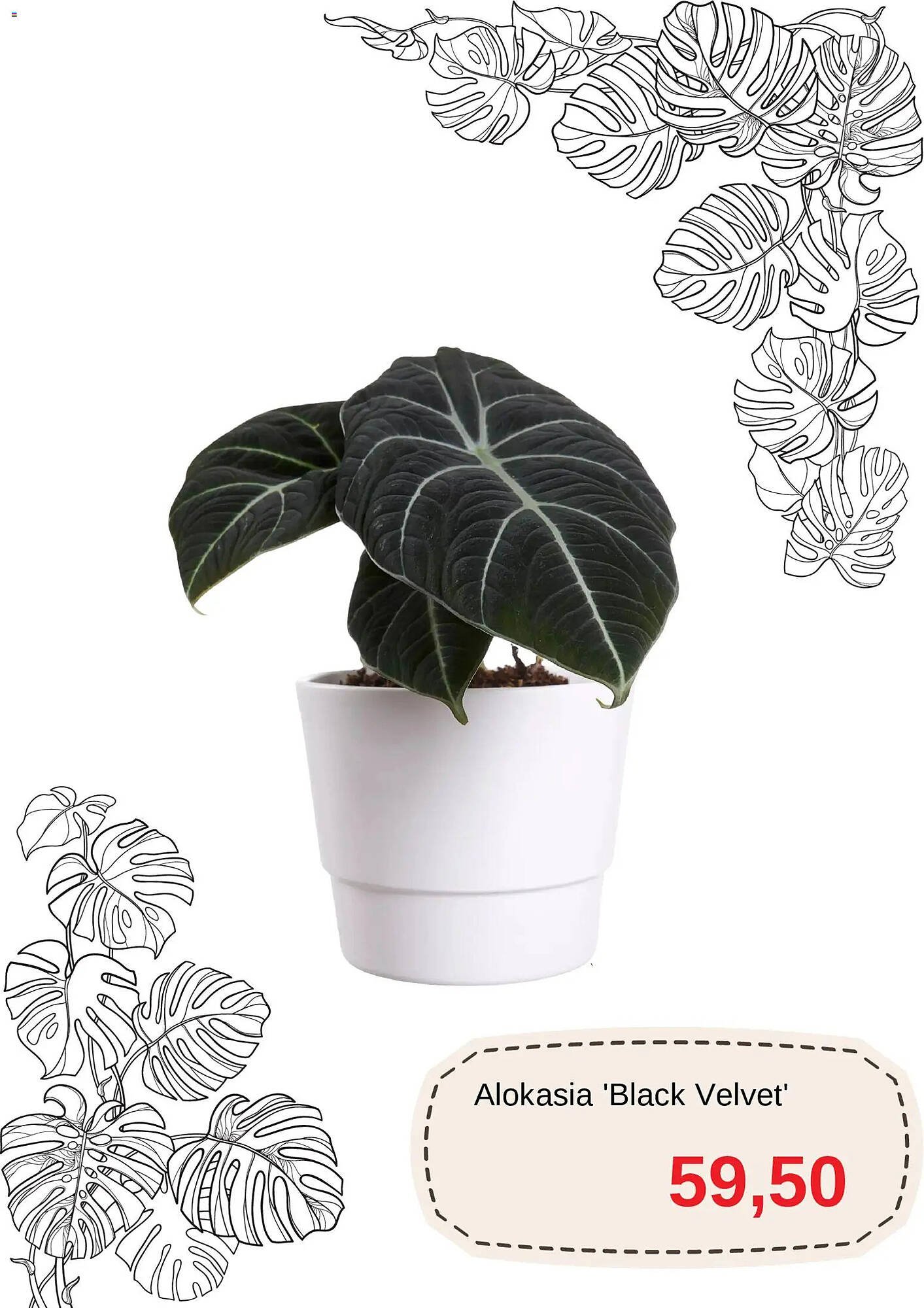 Blomsterlandet reklamblad