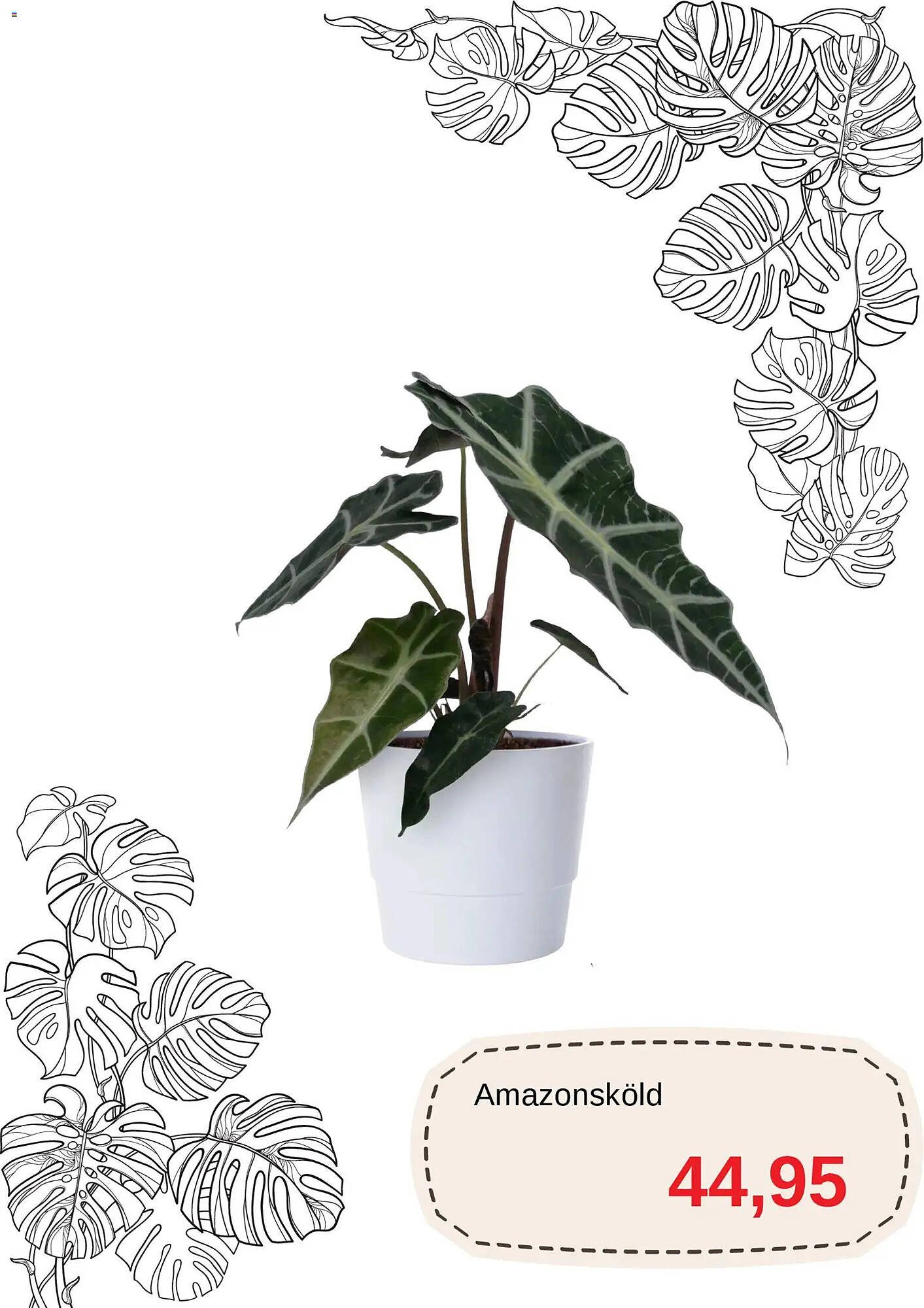 Blomsterlandet reklamblad