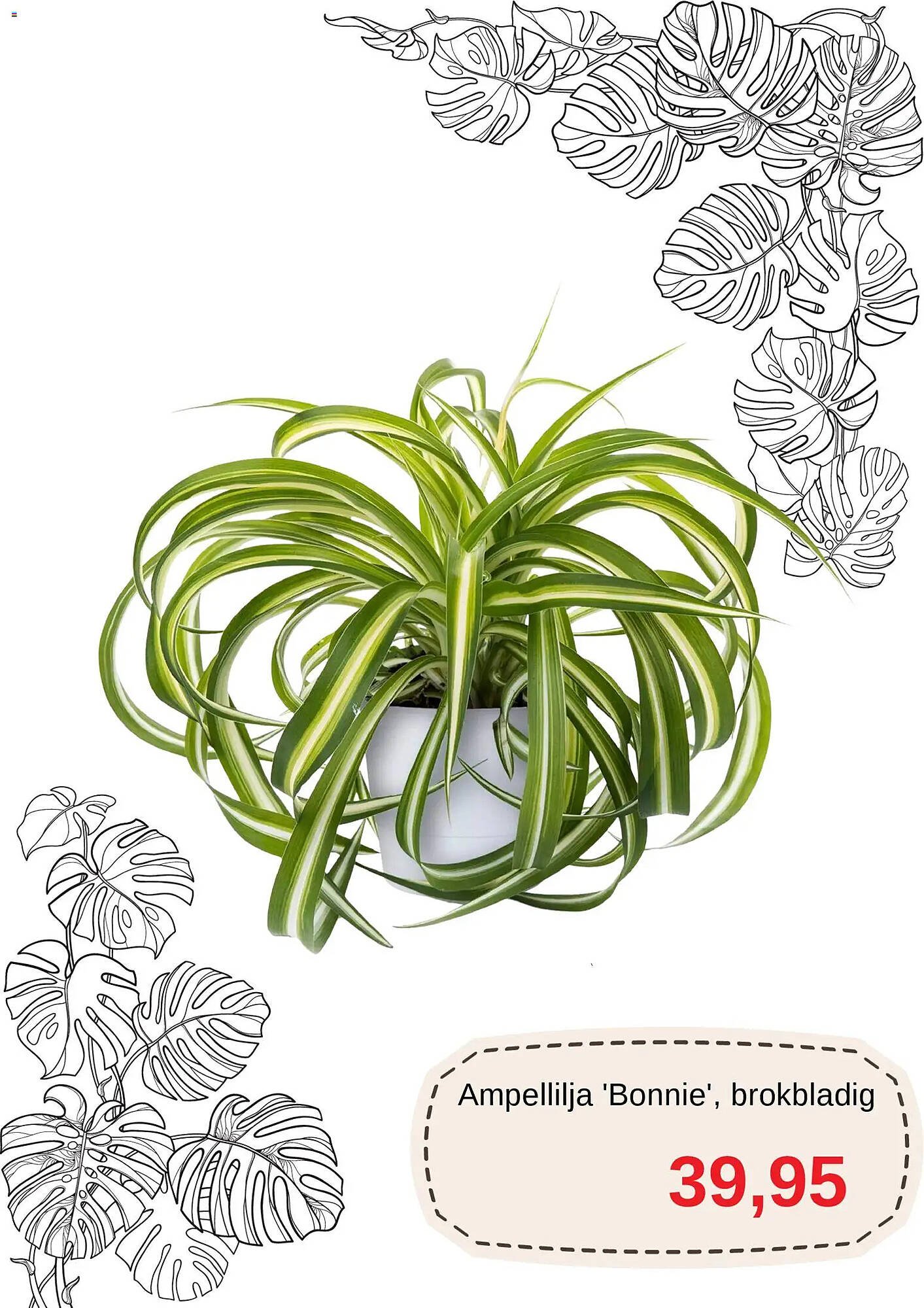 Blomsterlandet reklamblad