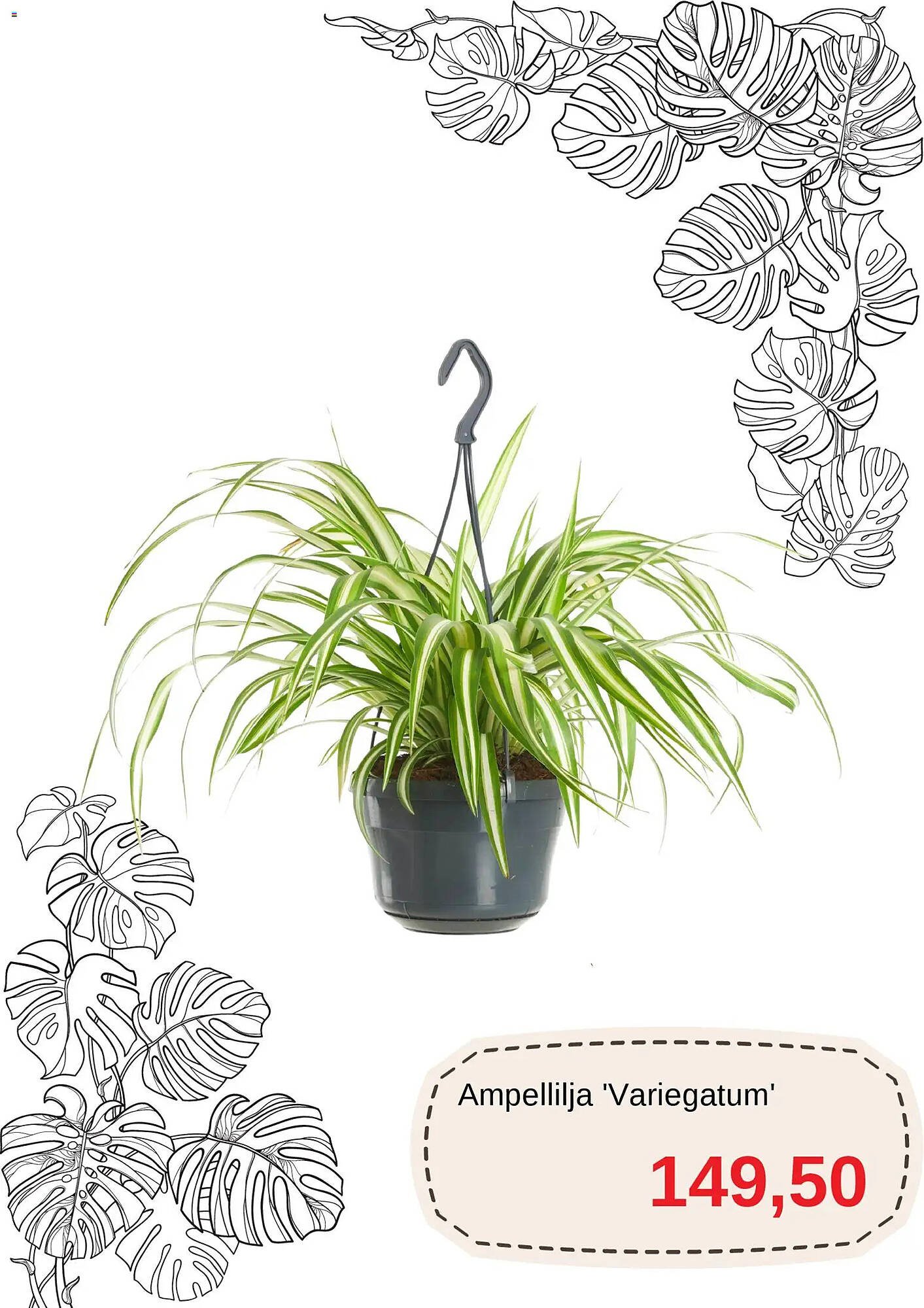 Blomsterlandet reklamblad