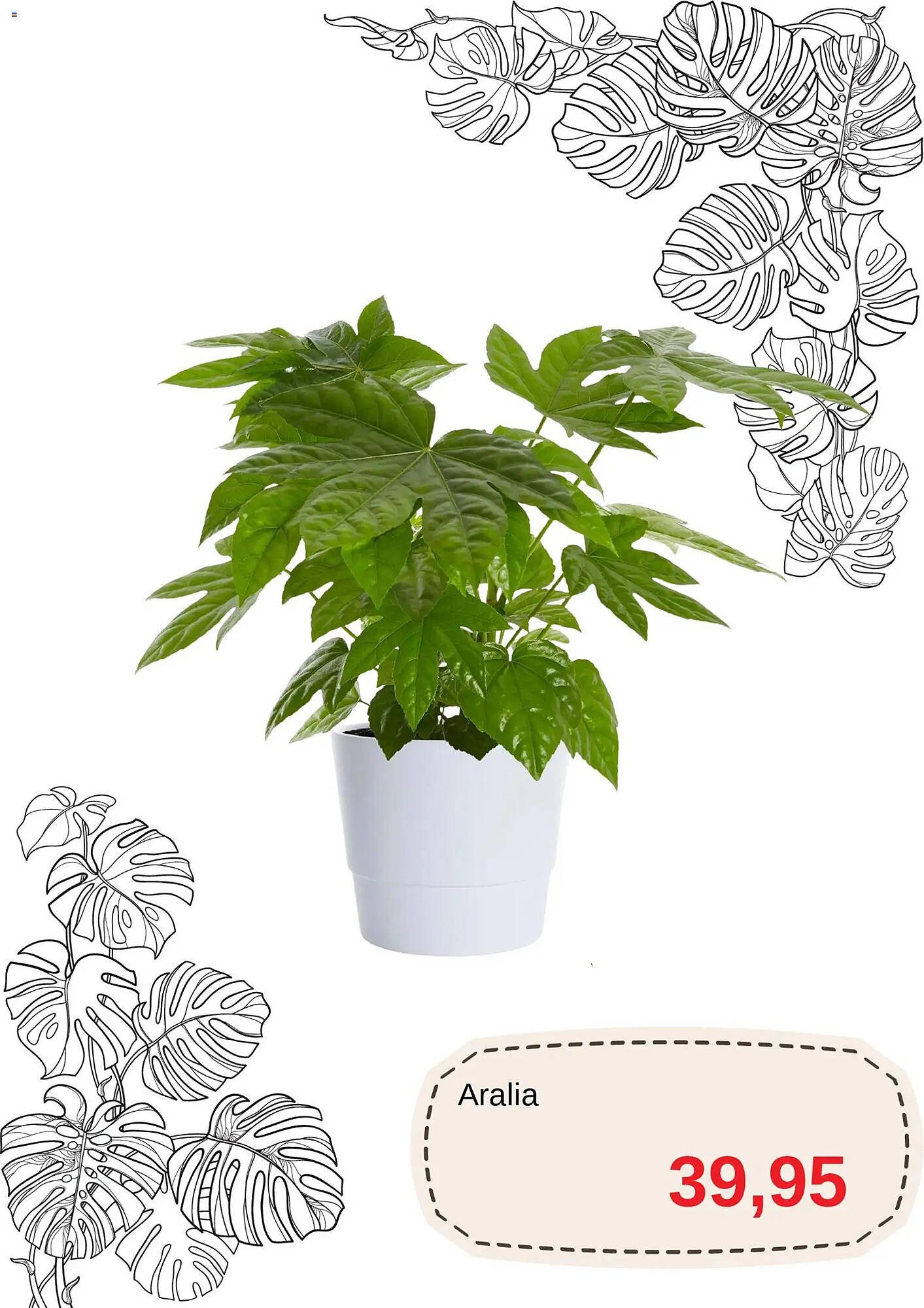 Blomsterlandet reklamblad