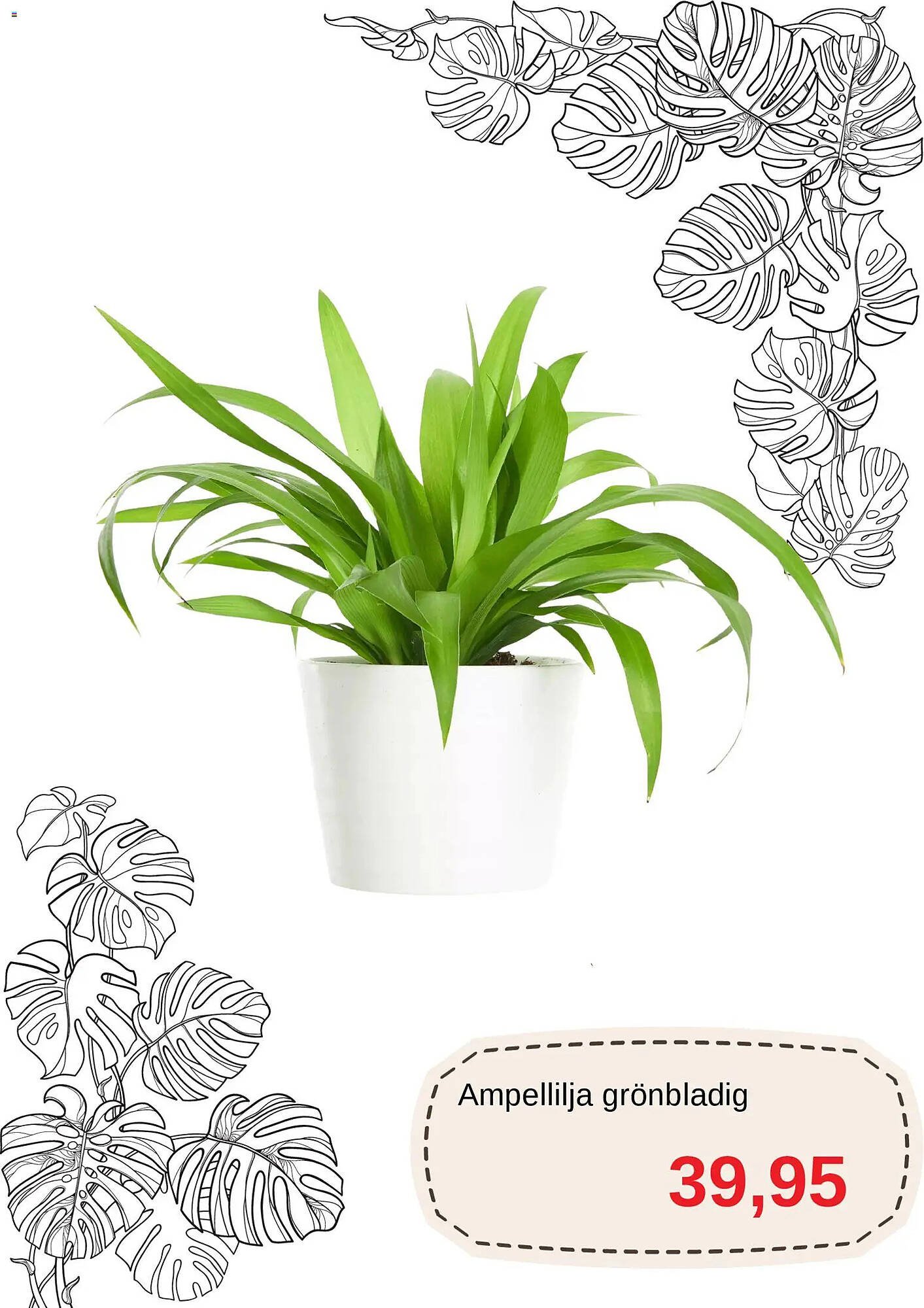 Blomsterlandet reklamblad