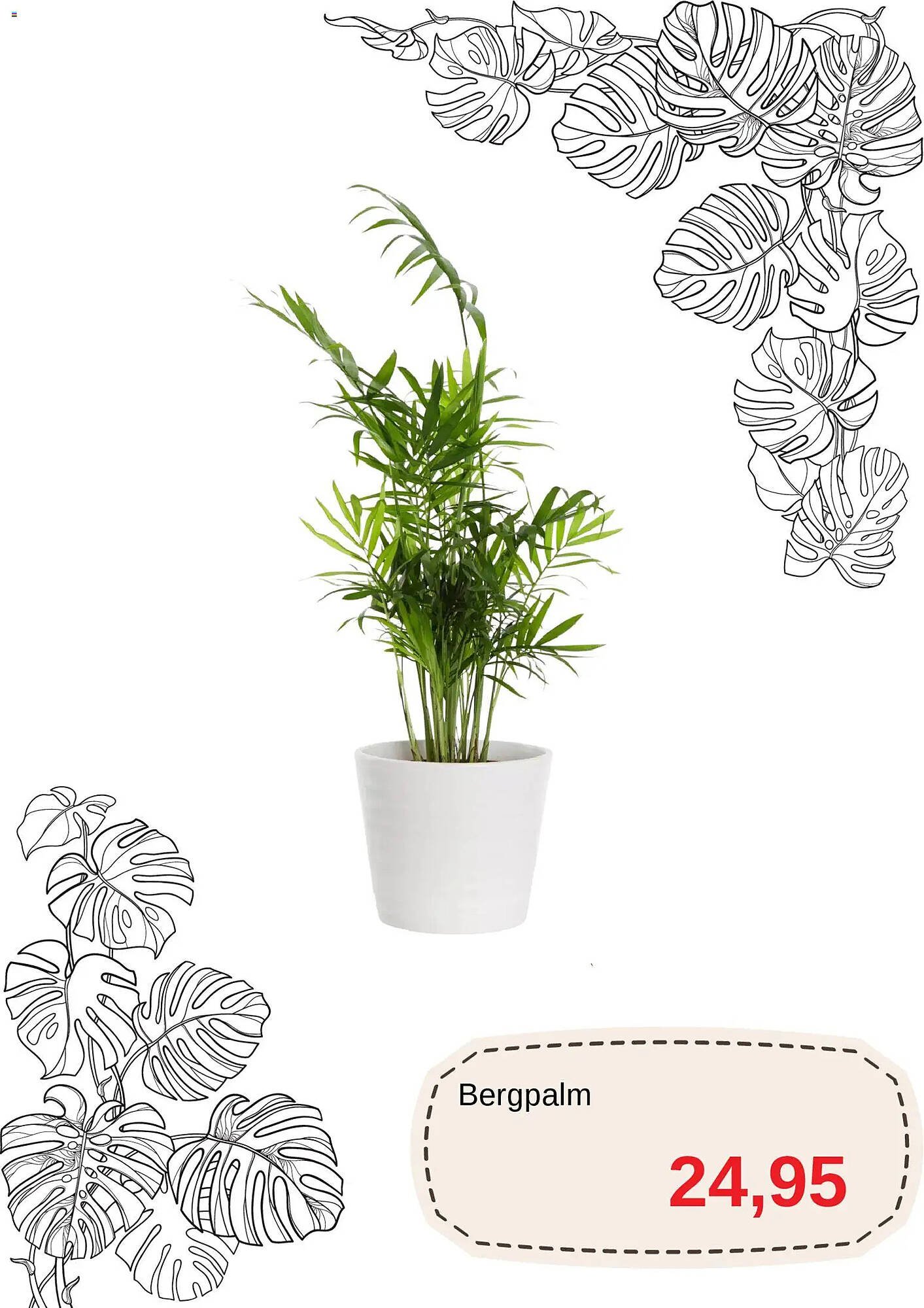 Blomsterlandet reklamblad