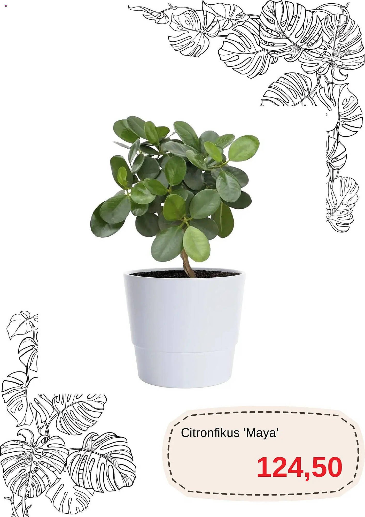 Blomsterlandet reklamblad