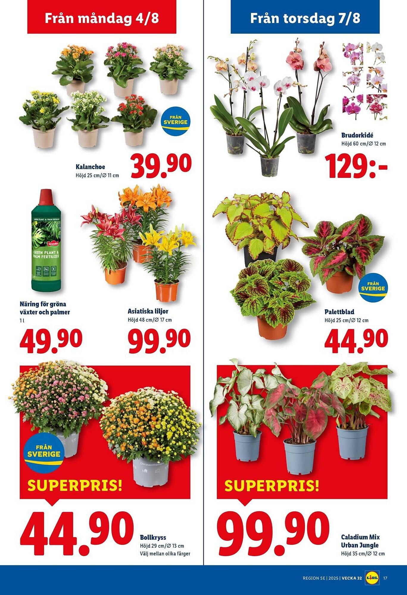 Lidl reklamblad (2025-08-04 - 2025-08-10)