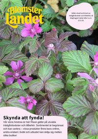 Granngården kampanjblad (2025-10-01 - 2025-10-31)