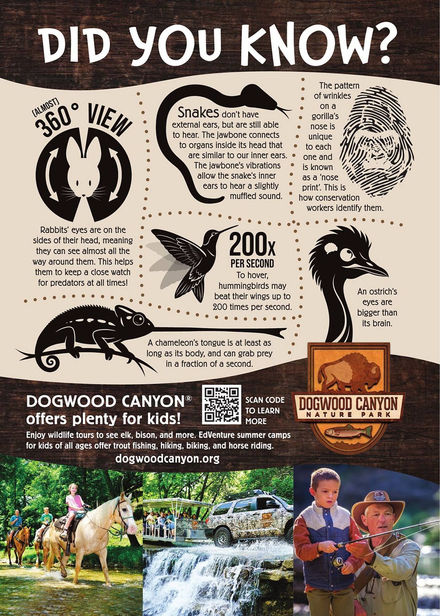 Cabela&#039;s weekly ad (2025-10-31 - 2025-11-14) | 46