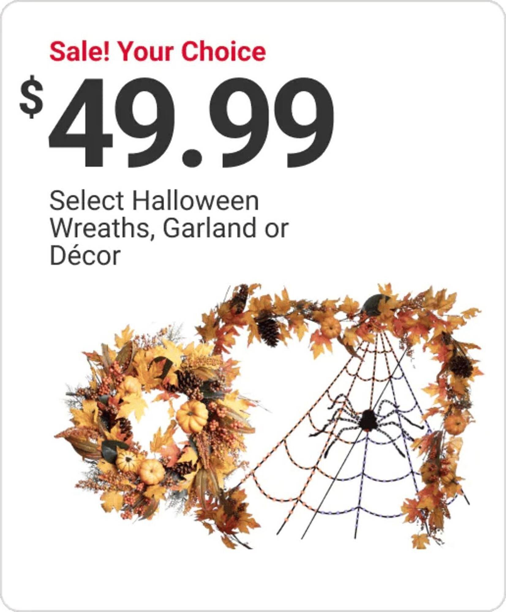 Ace Hardware flyer (2025-10-15 - 2025-10-21) | 14