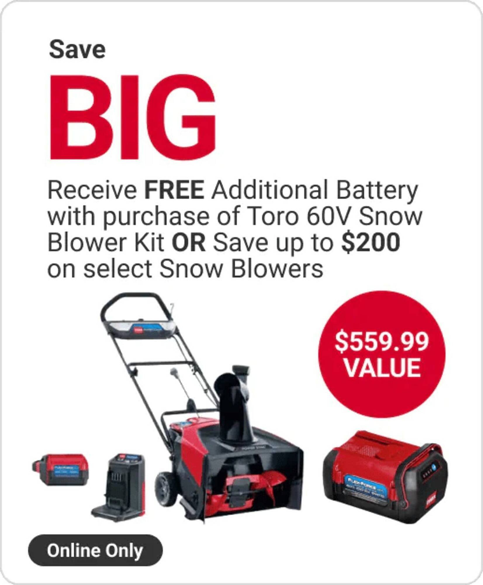 Ace Hardware flyer (2025-10-15 - 2025-10-21) | 3