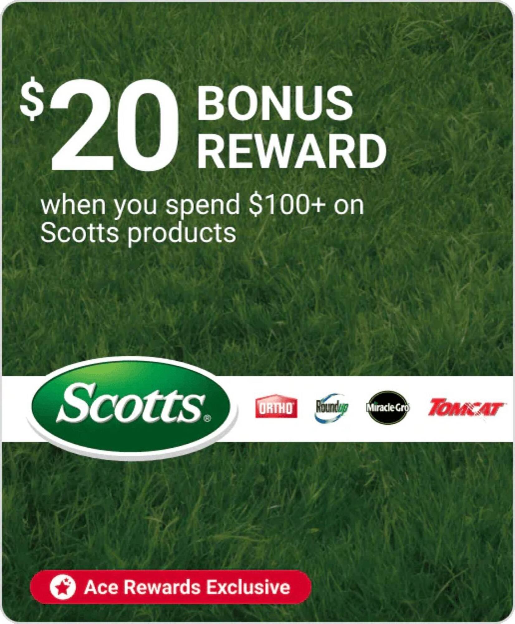 Ace Hardware flyer (2025-10-15 - 2025-10-21) | 8