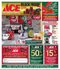 Ace Hardware flyer