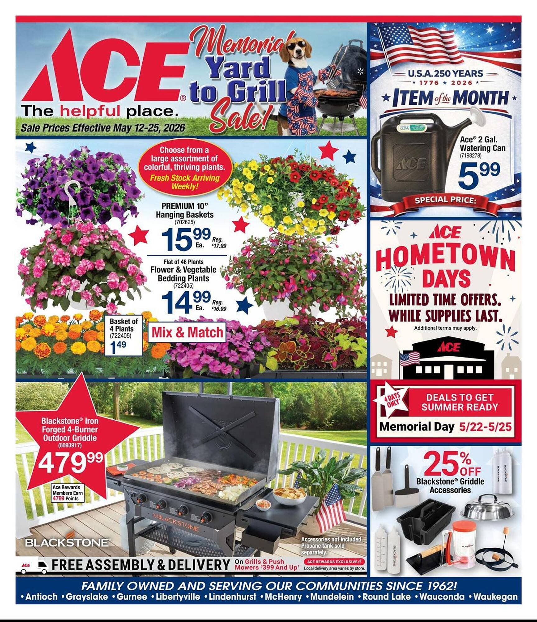 Ace Hardware flyer