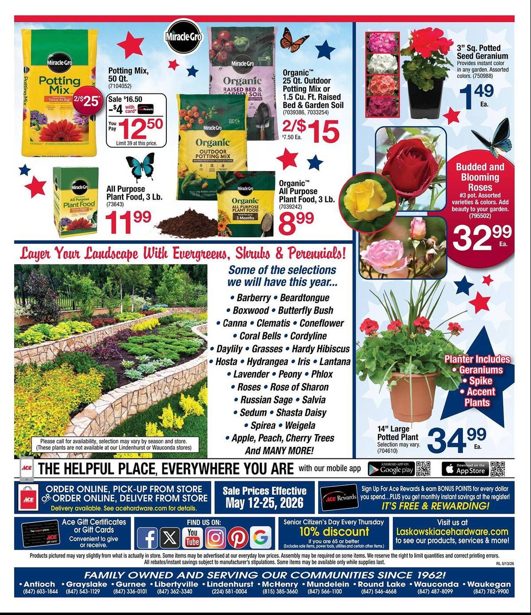 Ace Hardware flyer