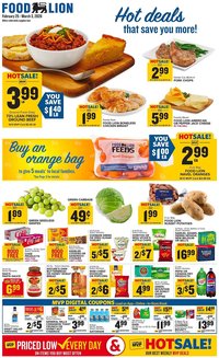 Food Lion weekly ad