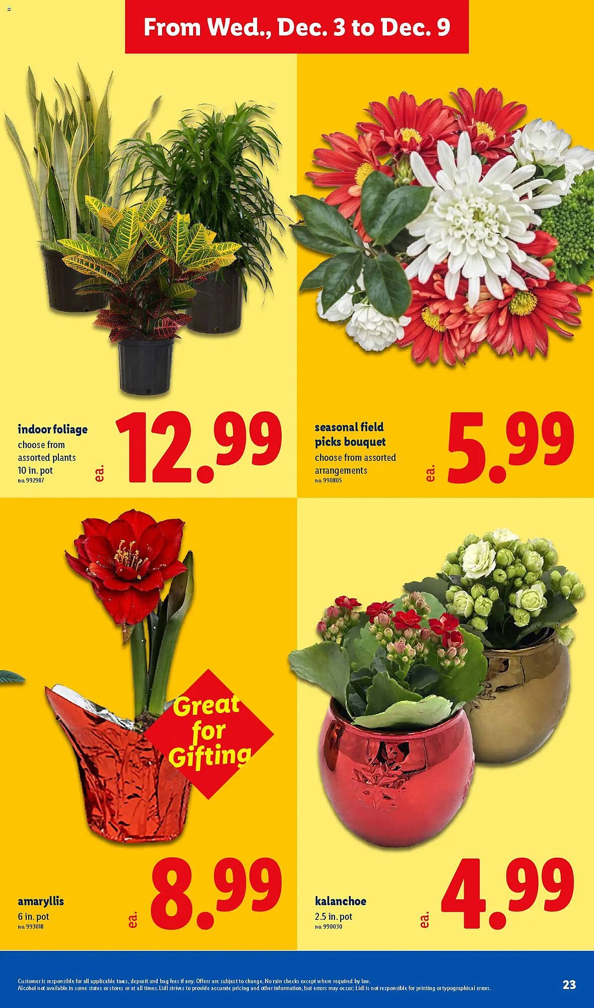 Lidl weekly ad